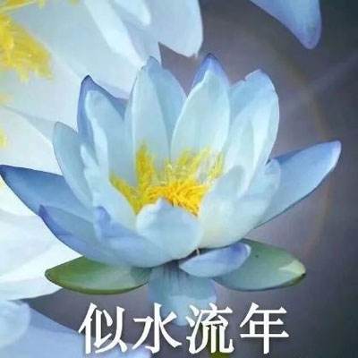 牧游作妖计手游下载