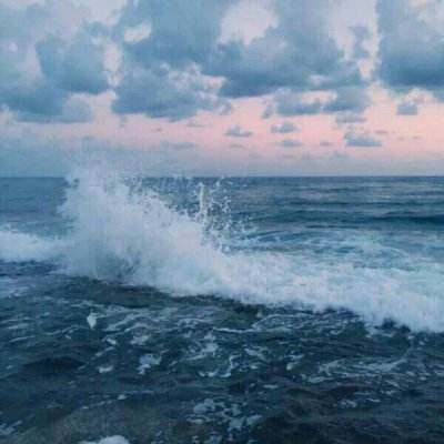 ankh永生计划破解版下载